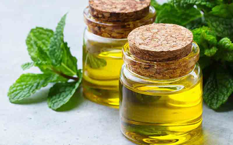 Mentha Oil